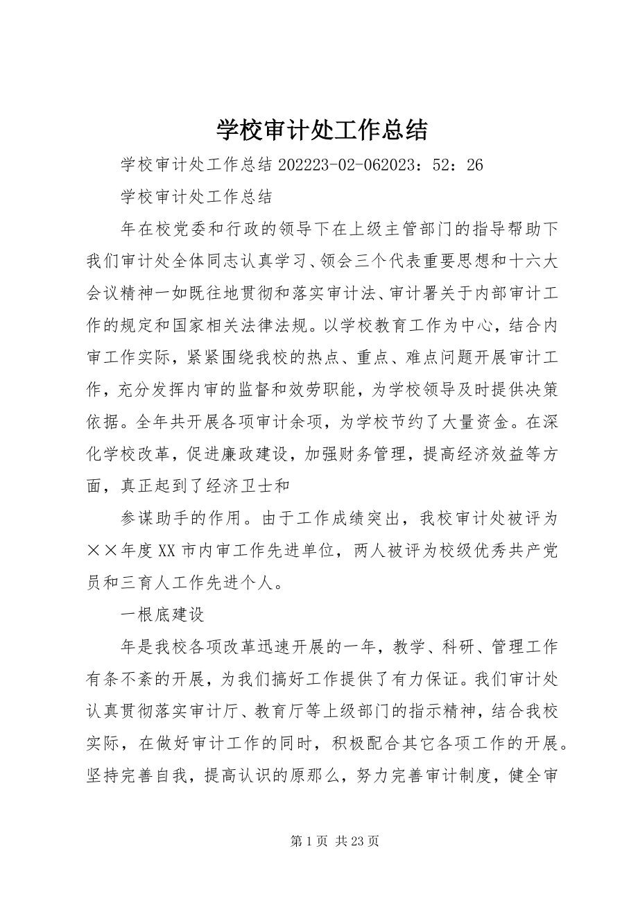 2023年学校审计处工作总结.docx_第1页