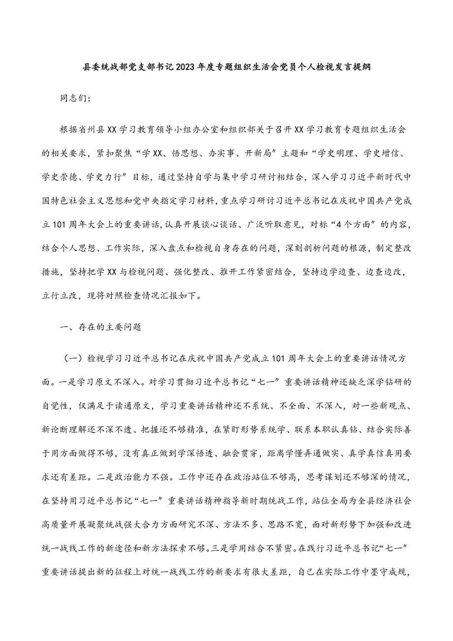 县委统战部党支部书记2023年度专题组织生活会党员个人检视发言提纲.docx_第1页