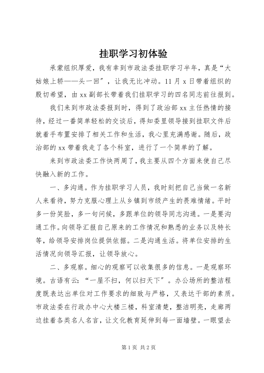 2023年挂职学习初体验.docx_第1页