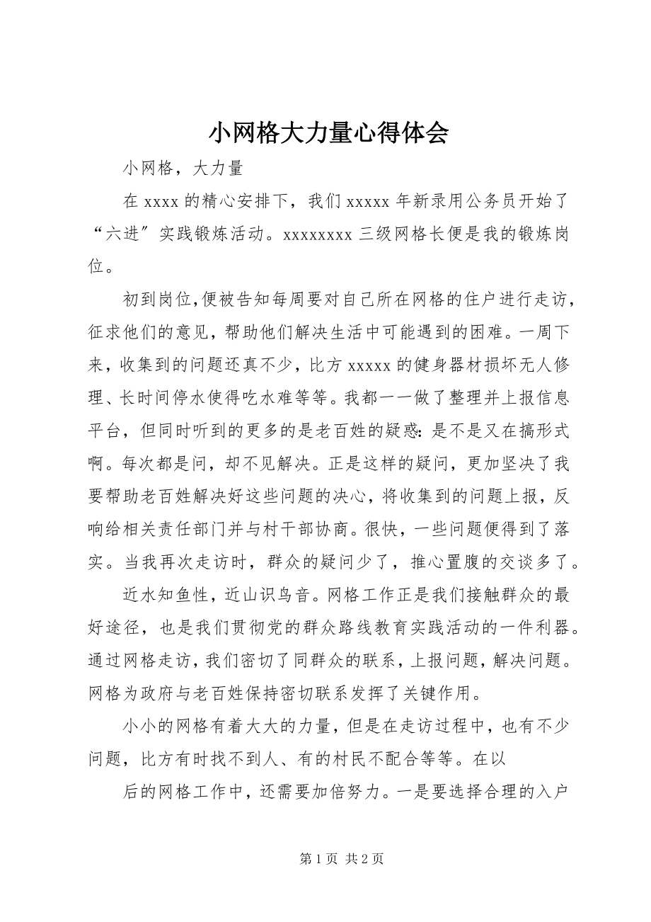 2023年小网格大力量心得体会.docx_第1页