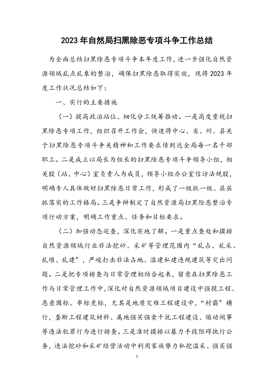 2023年自然局扫黑除恶专项斗争工作总结.docx_第1页