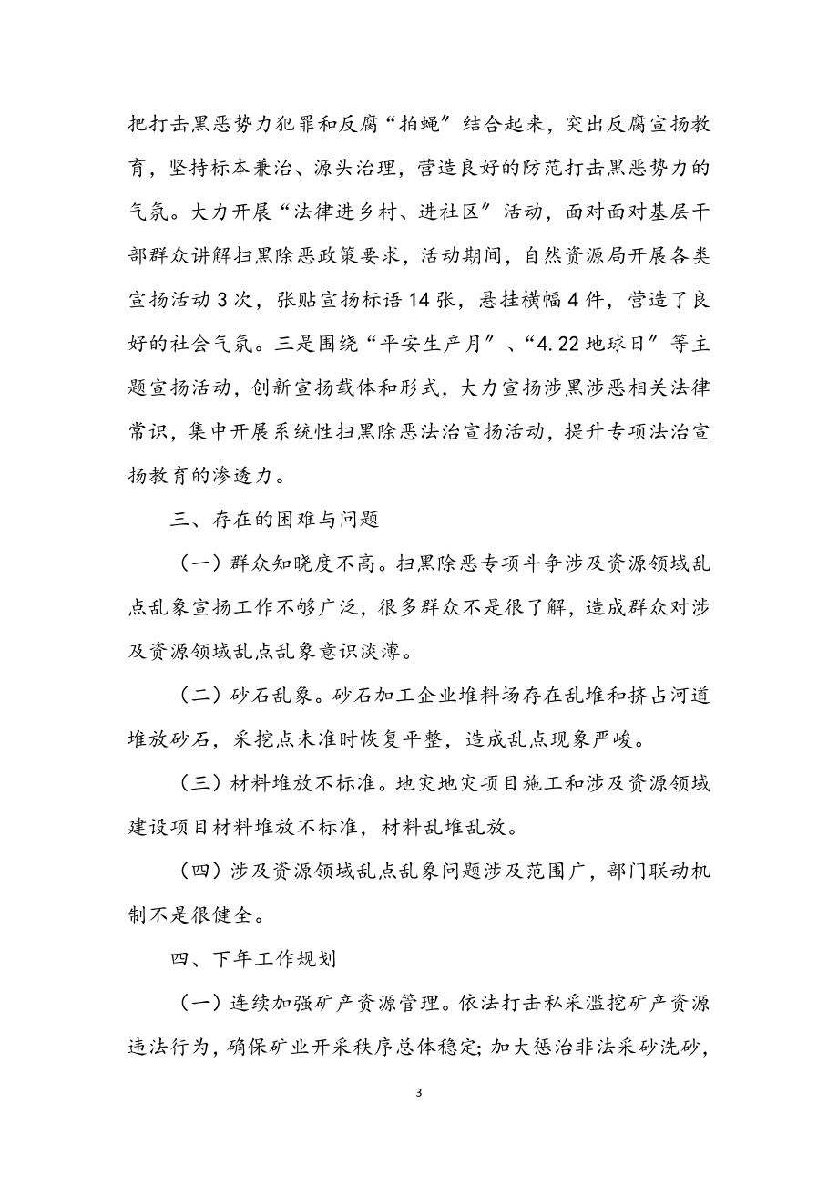 2023年自然局扫黑除恶专项斗争工作总结.docx_第3页