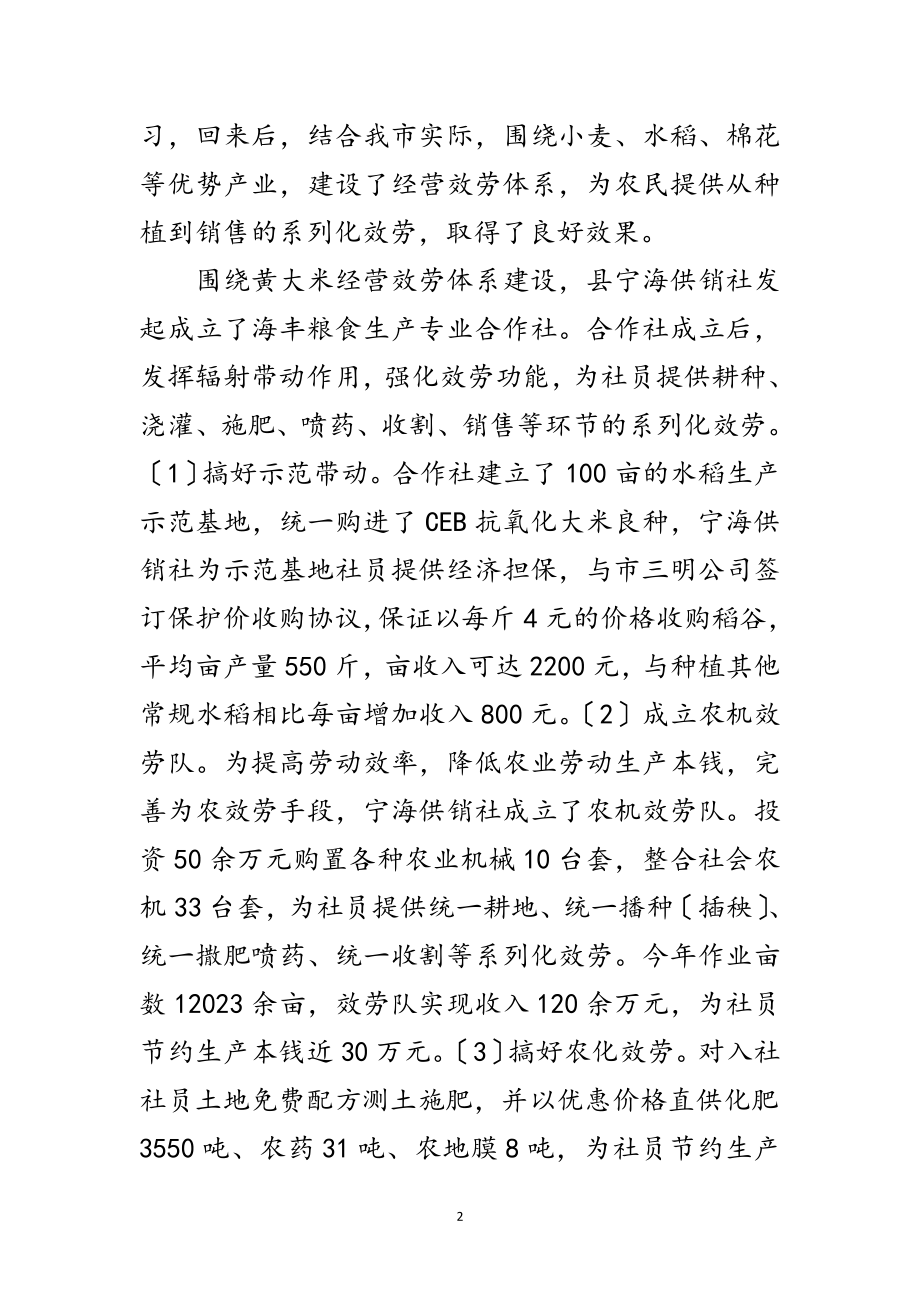 2023年党委副主任述职述廉范文.doc_第2页