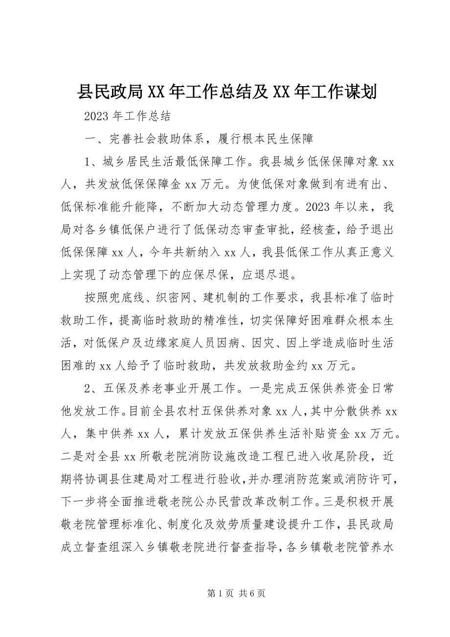 2023年县民政局工作总结及工作谋划2.docx_第1页