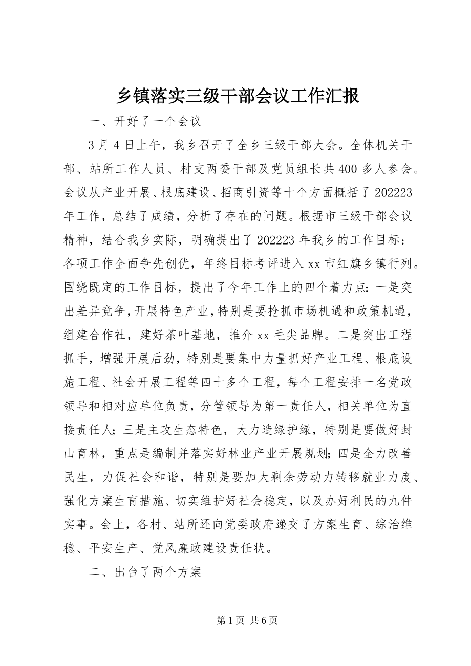 2023年乡镇落实三级干部会议工作汇报.docx_第1页