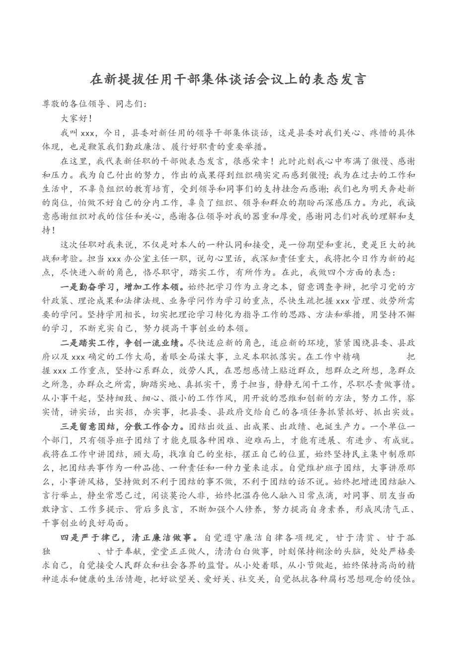 2023年在新提拔任用干部集体谈话会议上的表态发言.doc_第1页