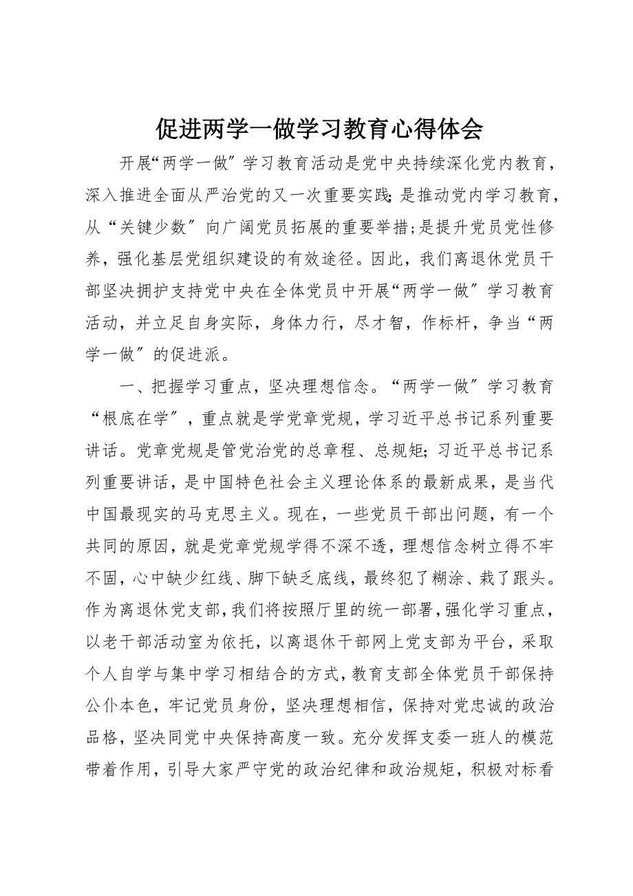 2023年促进两学一做学习教育心得体会.docx_第1页