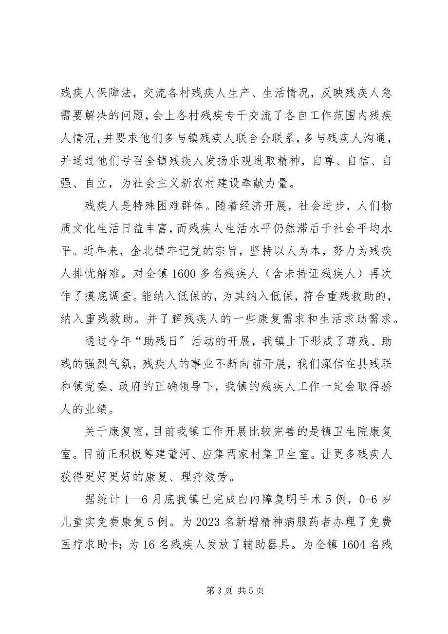 2023年上半年xx镇残联工作总结.docx_第3页