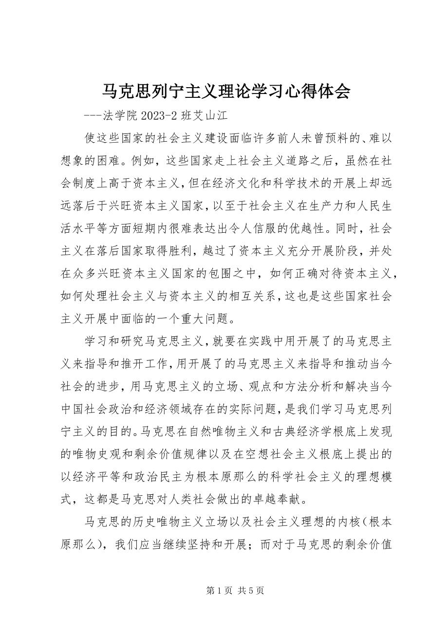 2023年马克思列宁主义理论学习心得体会.docx_第1页