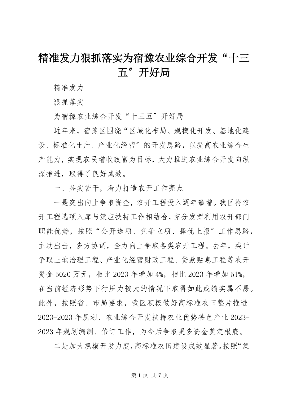 2023年精准发力狠抓落实为宿豫农业综合开发“十三五”开好局.docx_第1页