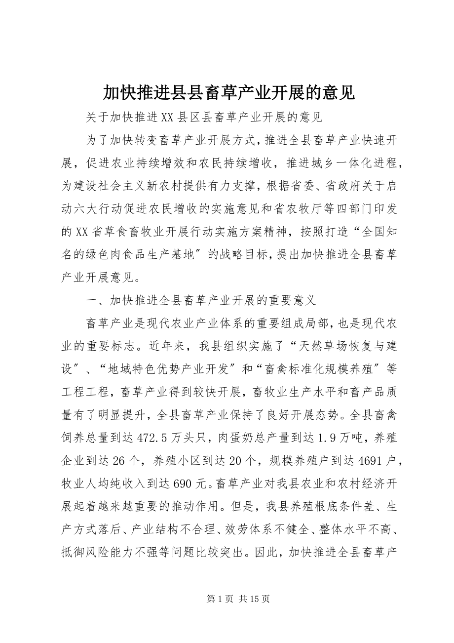 2023年加快推进县县畜草产业发展的意见.docx_第1页