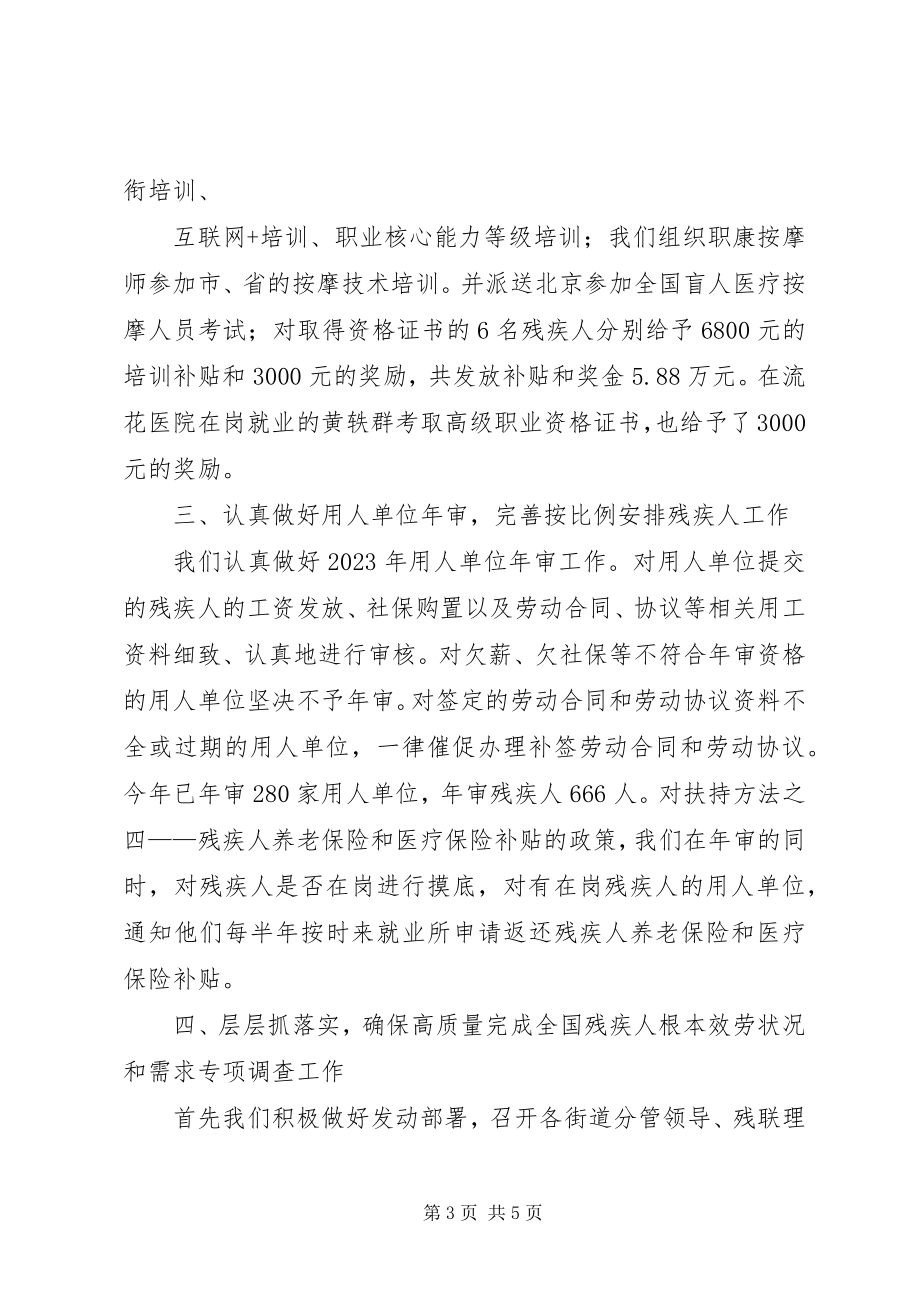 2023年残疾人劳动就业服务所年度工作总结新编.docx_第3页