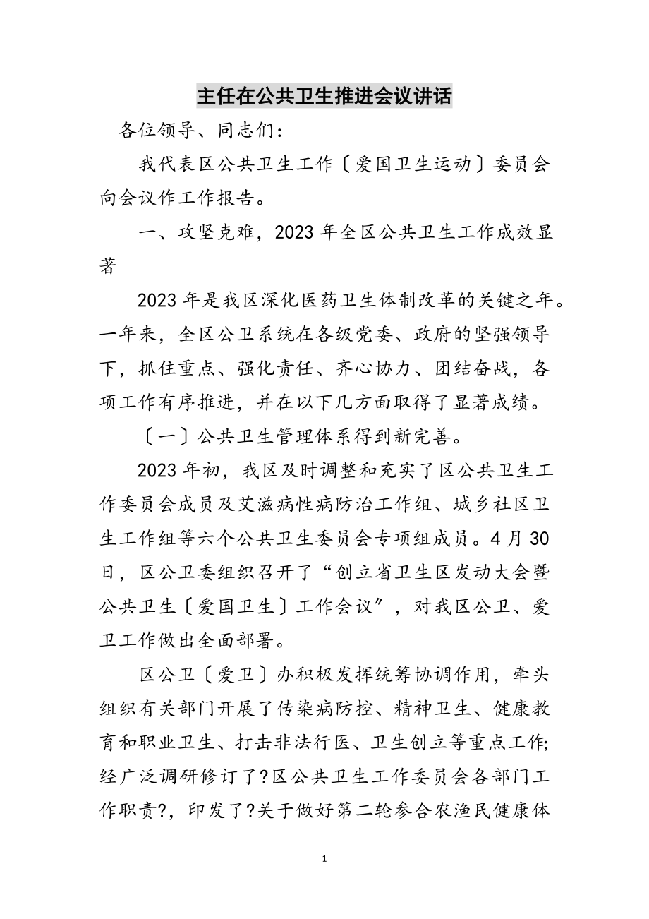 2023年主任在公共卫生推进会议讲话范文.doc_第1页