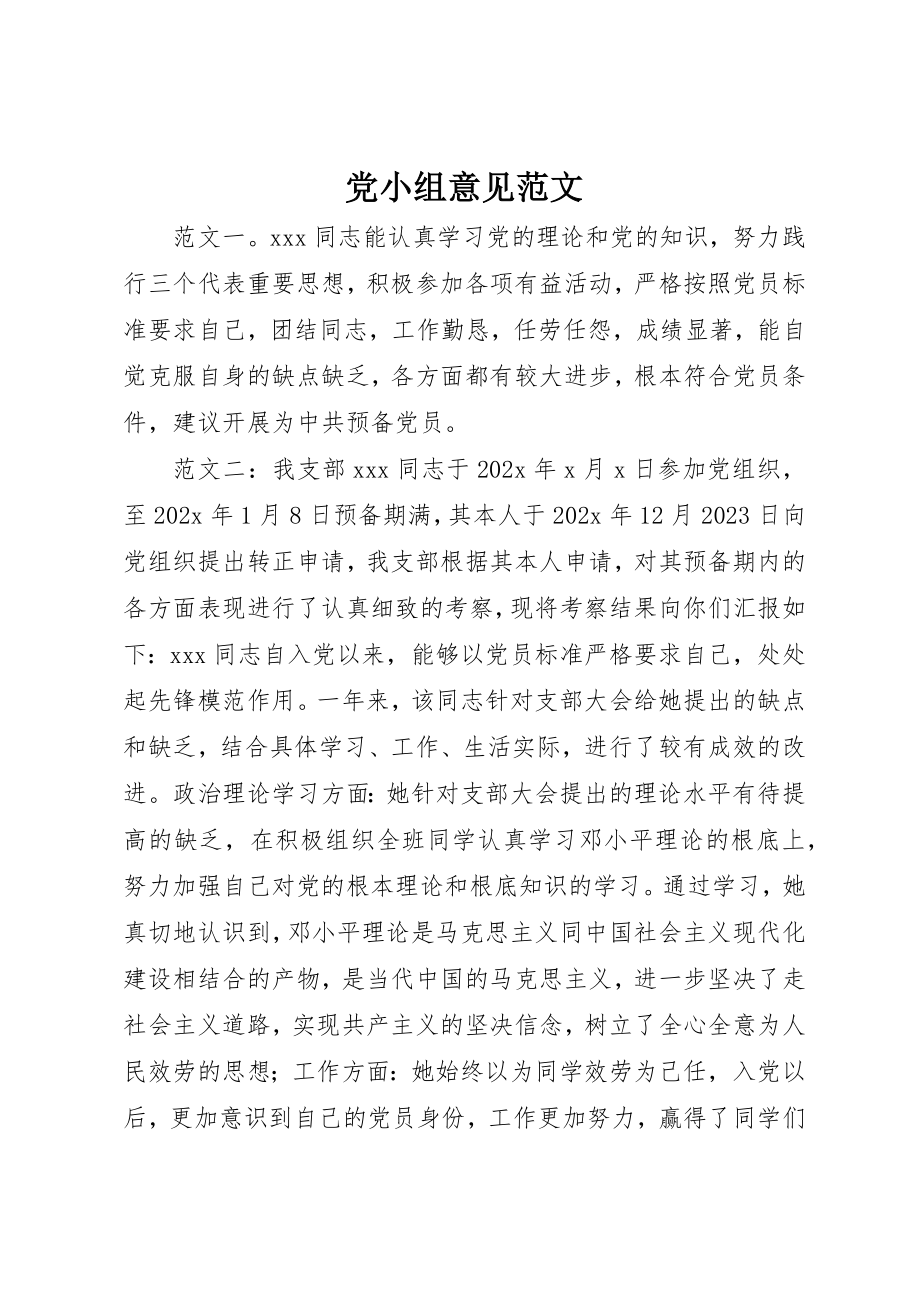 2023年党小组意见.docx_第1页