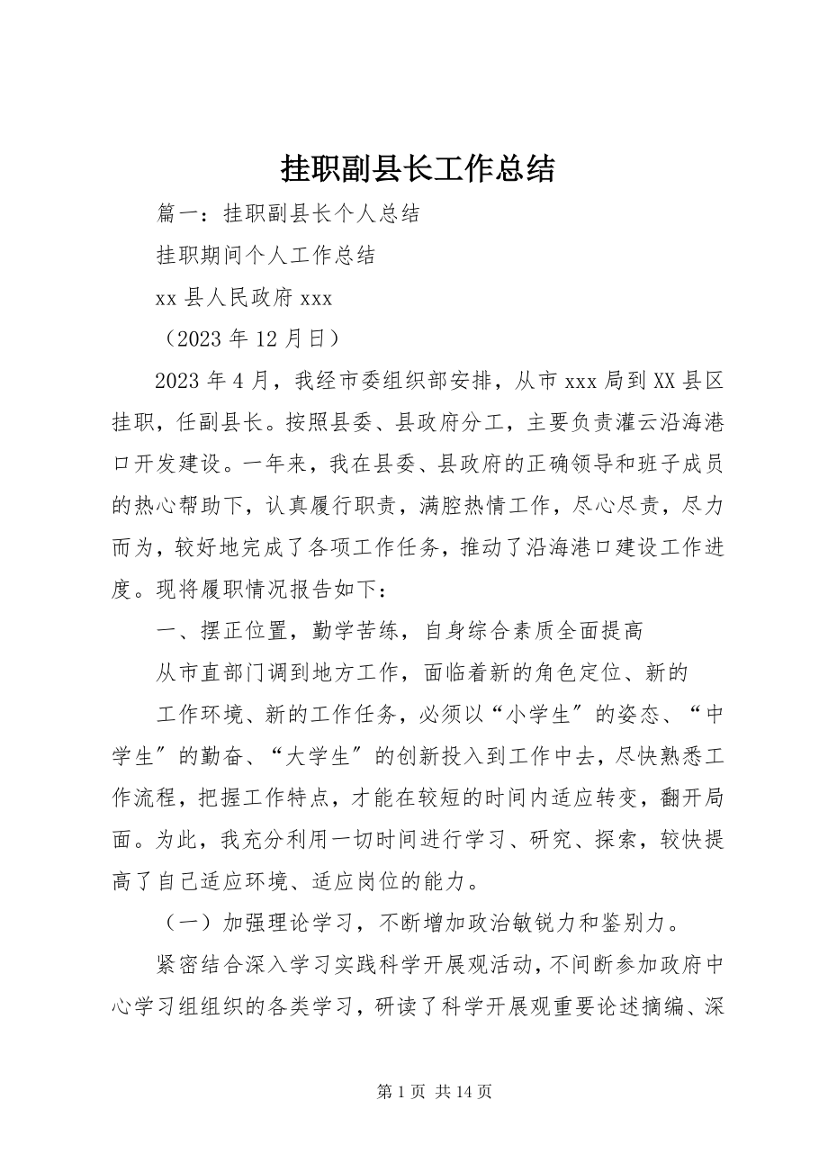 2023年挂职副县长工作总结.docx_第1页