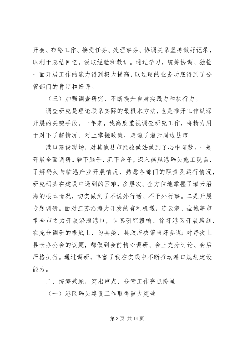 2023年挂职副县长工作总结.docx_第3页