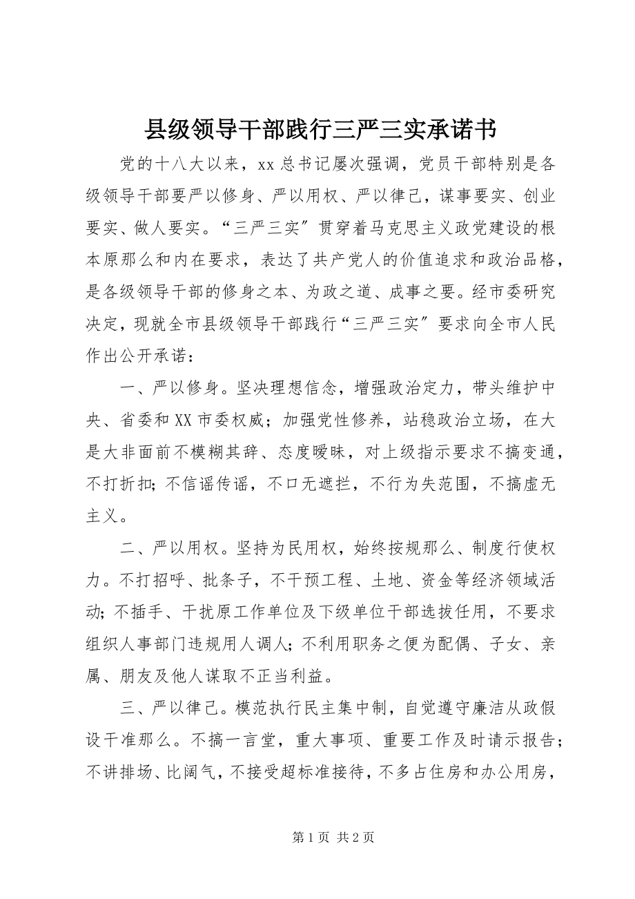 2023年县级领导干部践行三严三实承诺书.docx_第1页