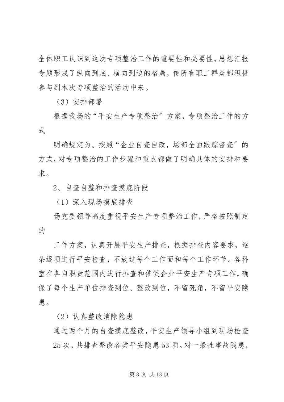 2023年安全专项整治活动总结新编.docx_第3页