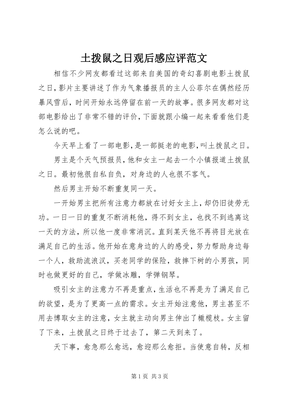 2023年土拨鼠之日观后感应评.docx_第1页