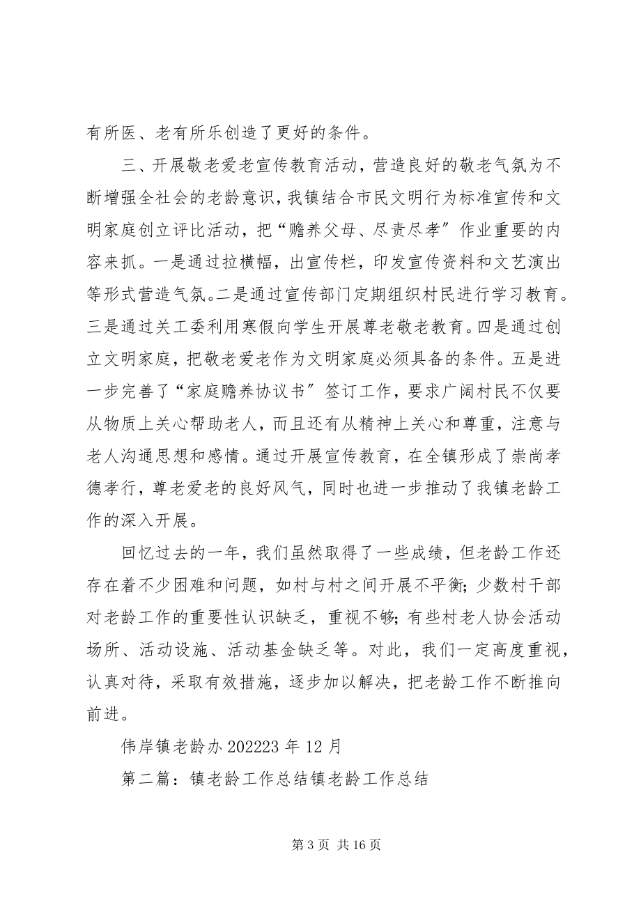 2023年伟岸镇老龄工作总结.docx_第3页