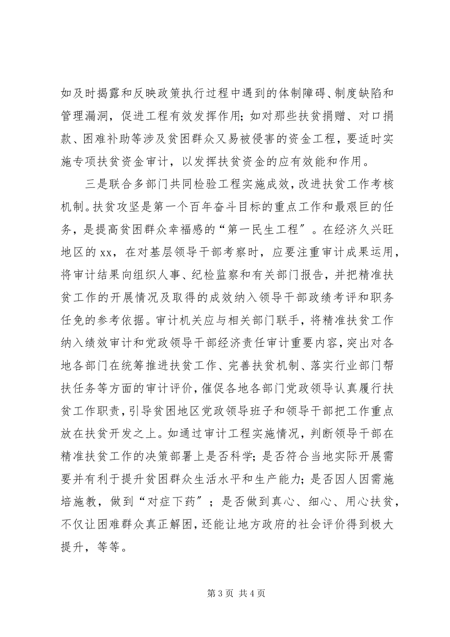 2023年精准审计助力精准扶贫的思考.docx_第3页