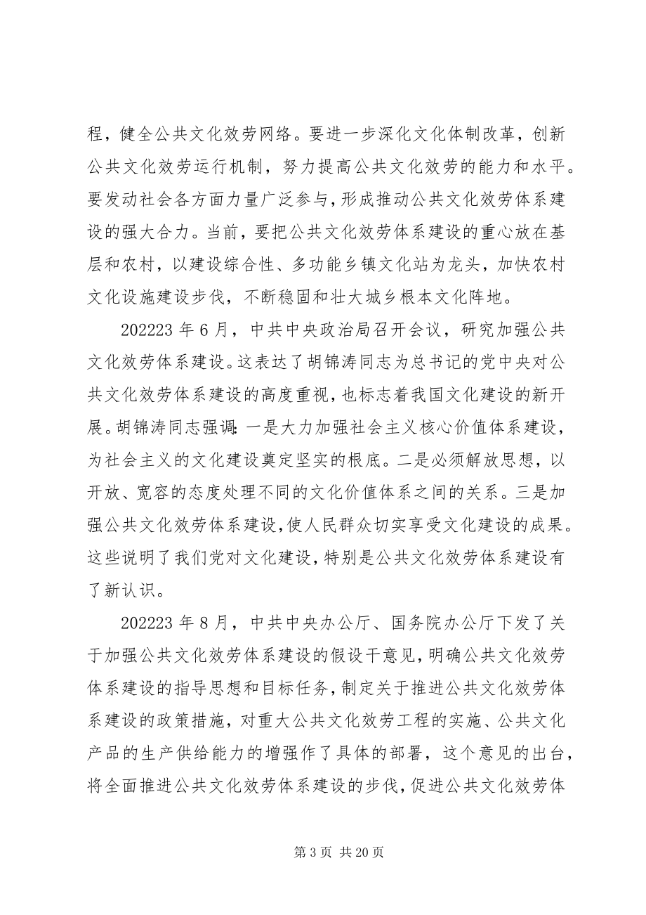 2023年公共文化服务经验交流.docx_第3页