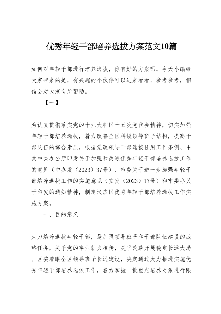 2023年优秀年轻干部培养选拔方案范文10篇.doc_第1页