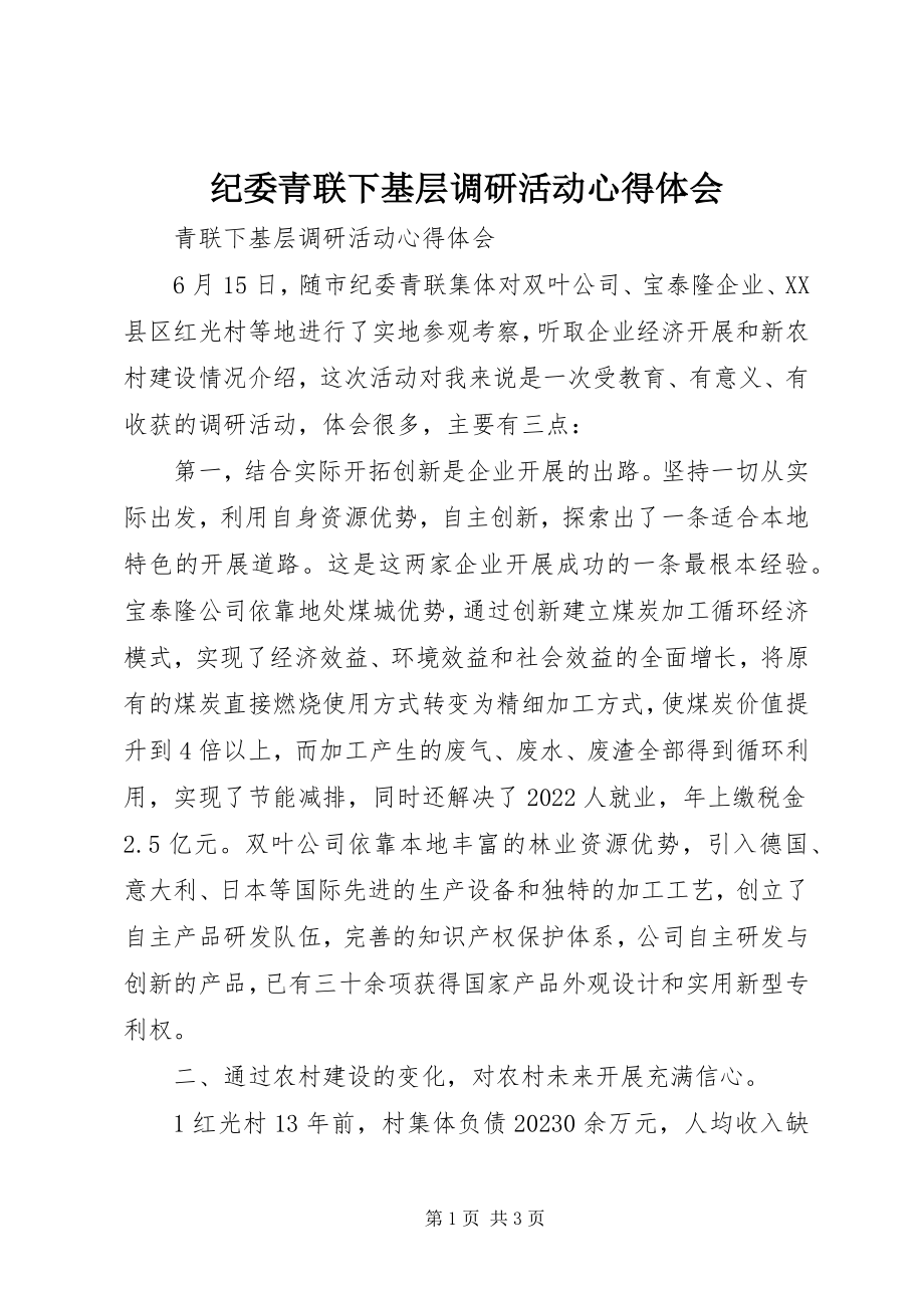 2023年纪委青联下基层调研活动心得体会.docx_第1页