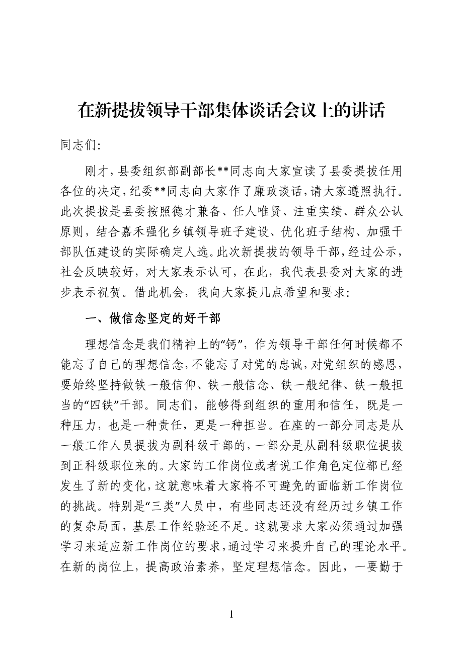 在新提拔领导干部集体谈话会议上的讲话（范文）.doc_第1页