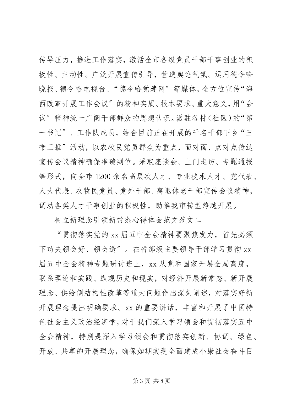 2023年树立新理念引领新常态心得体会萃选.docx_第3页