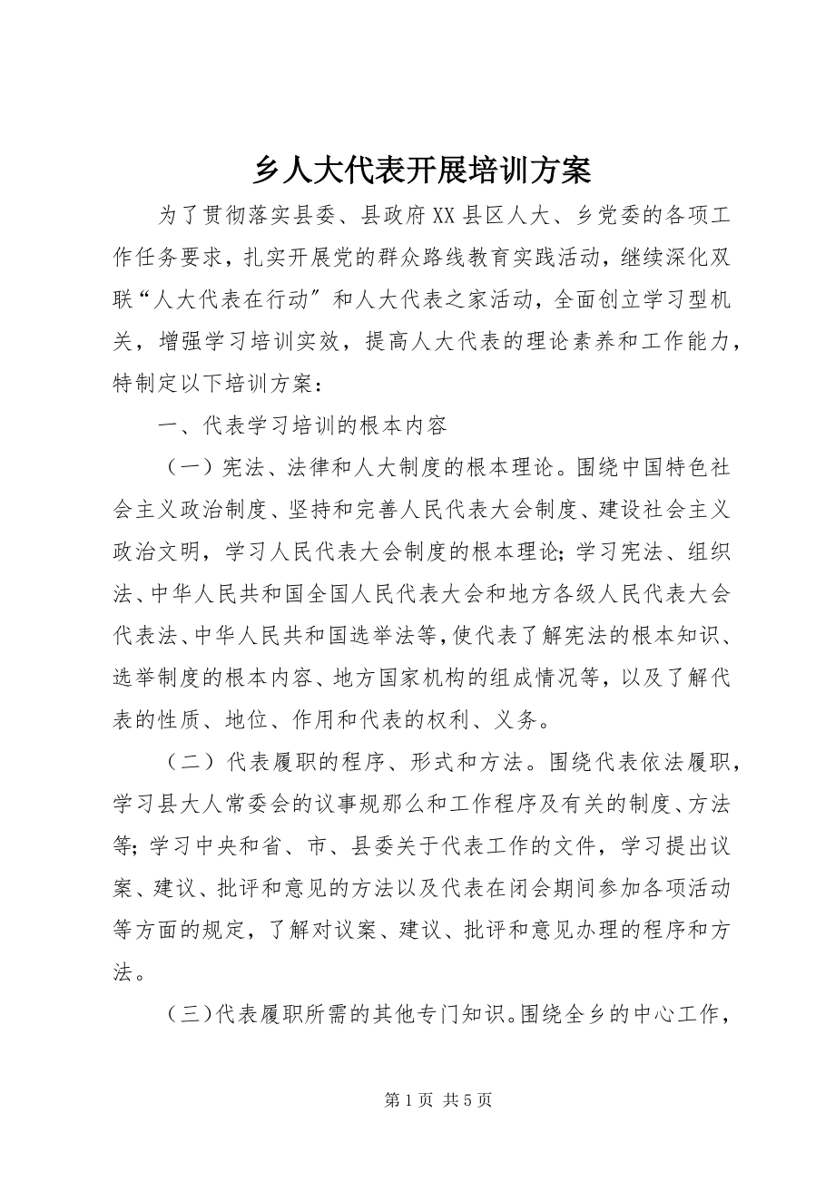 2023年乡人大代表开展培训计划.docx_第1页