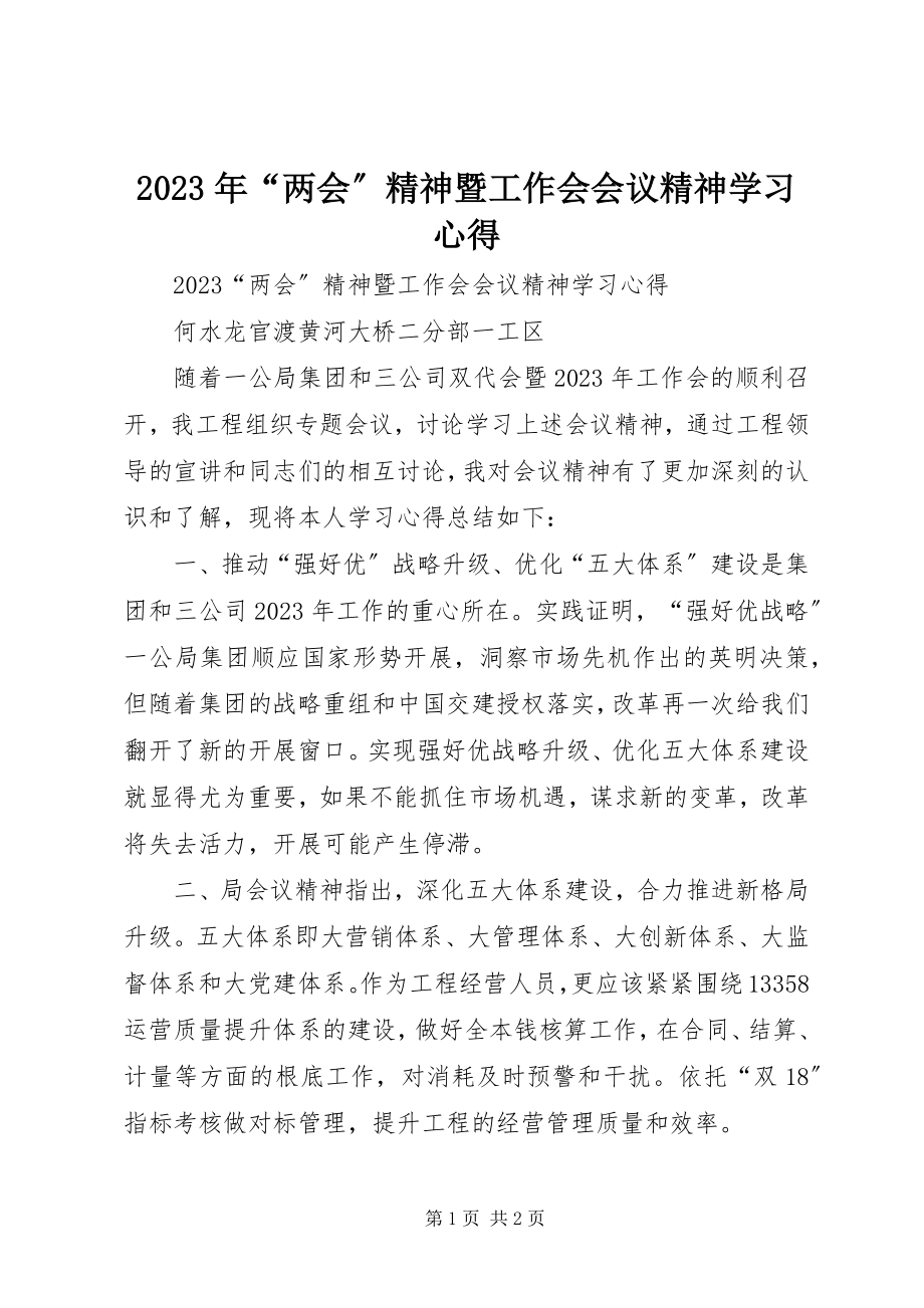 2023年“两会”精神暨工作会会议精神学习心得.docx_第1页