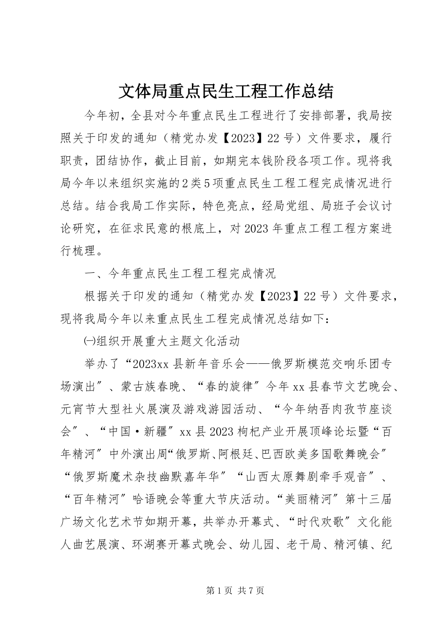 2023年文体局重点民生工程工作总结.docx_第1页