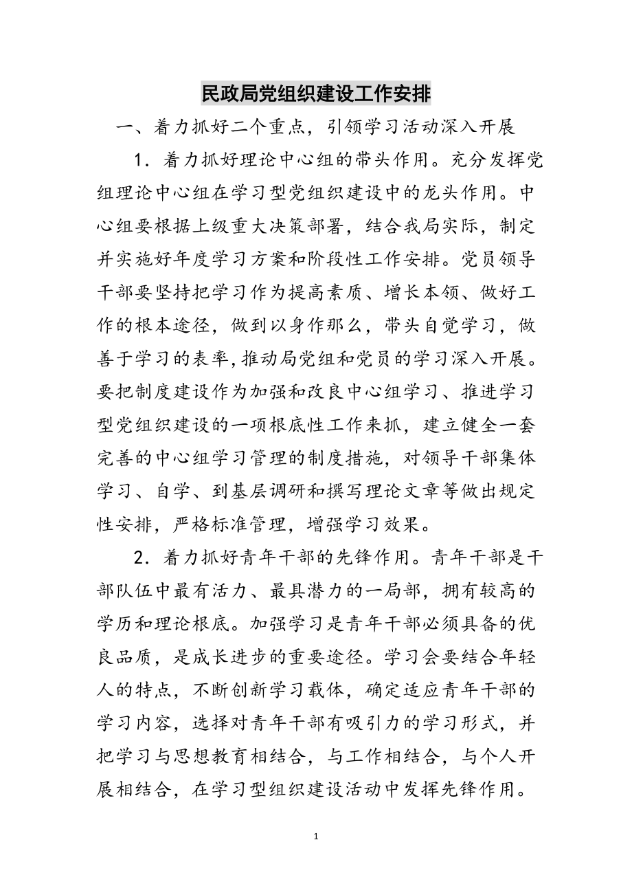 2023年民政局党组织建设工作安排范文.doc_第1页