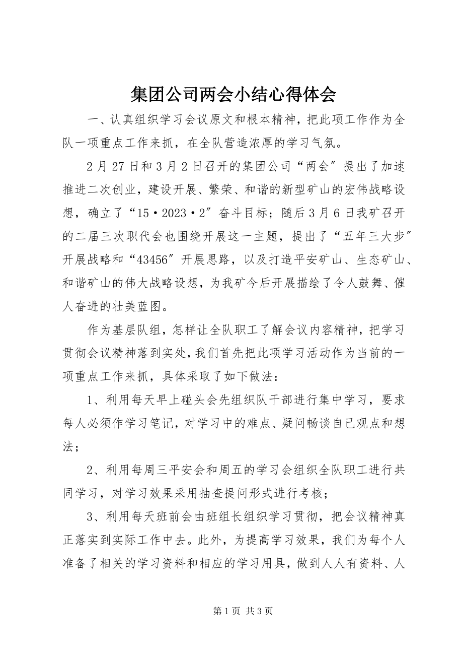 2023年集团公司两会小结心得体会.docx_第1页