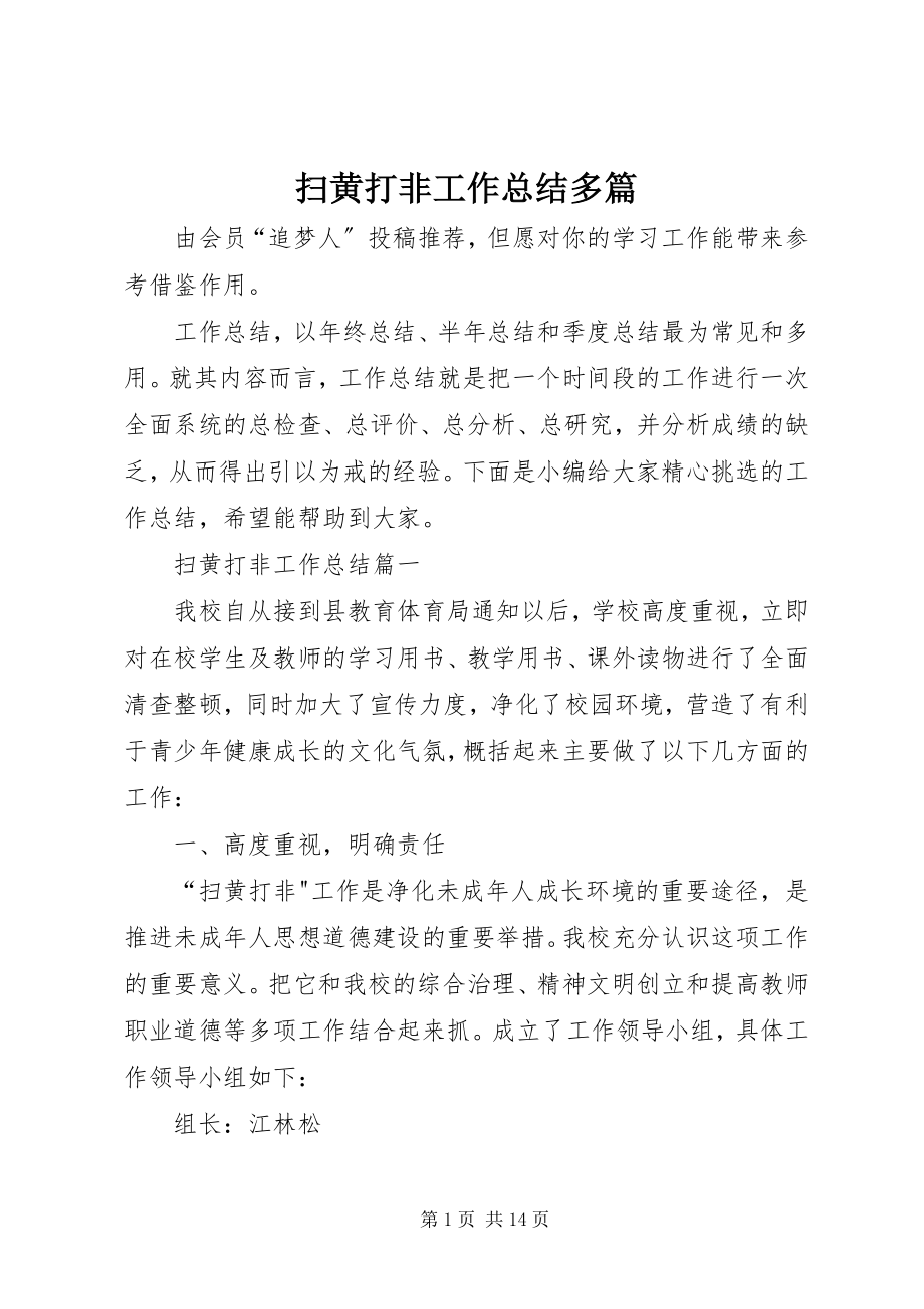 2023年扫黄打非工作总结多篇.docx_第1页