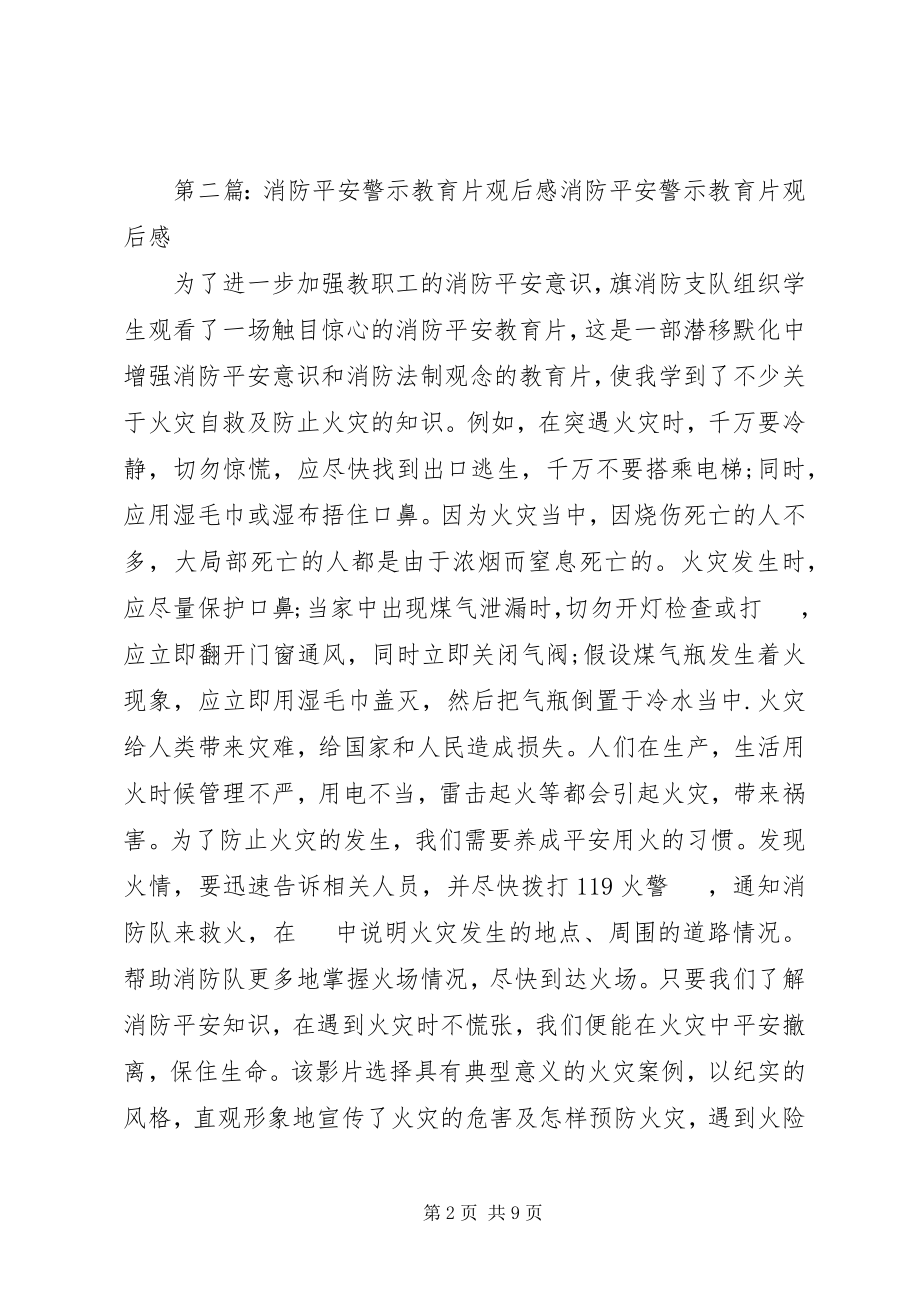 2023年消防安全教育片观后感.docx_第2页