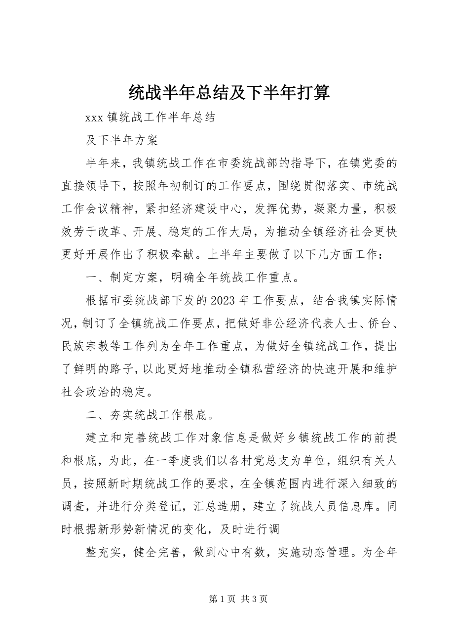 2023年统战半年总结及下半年打算.docx_第1页