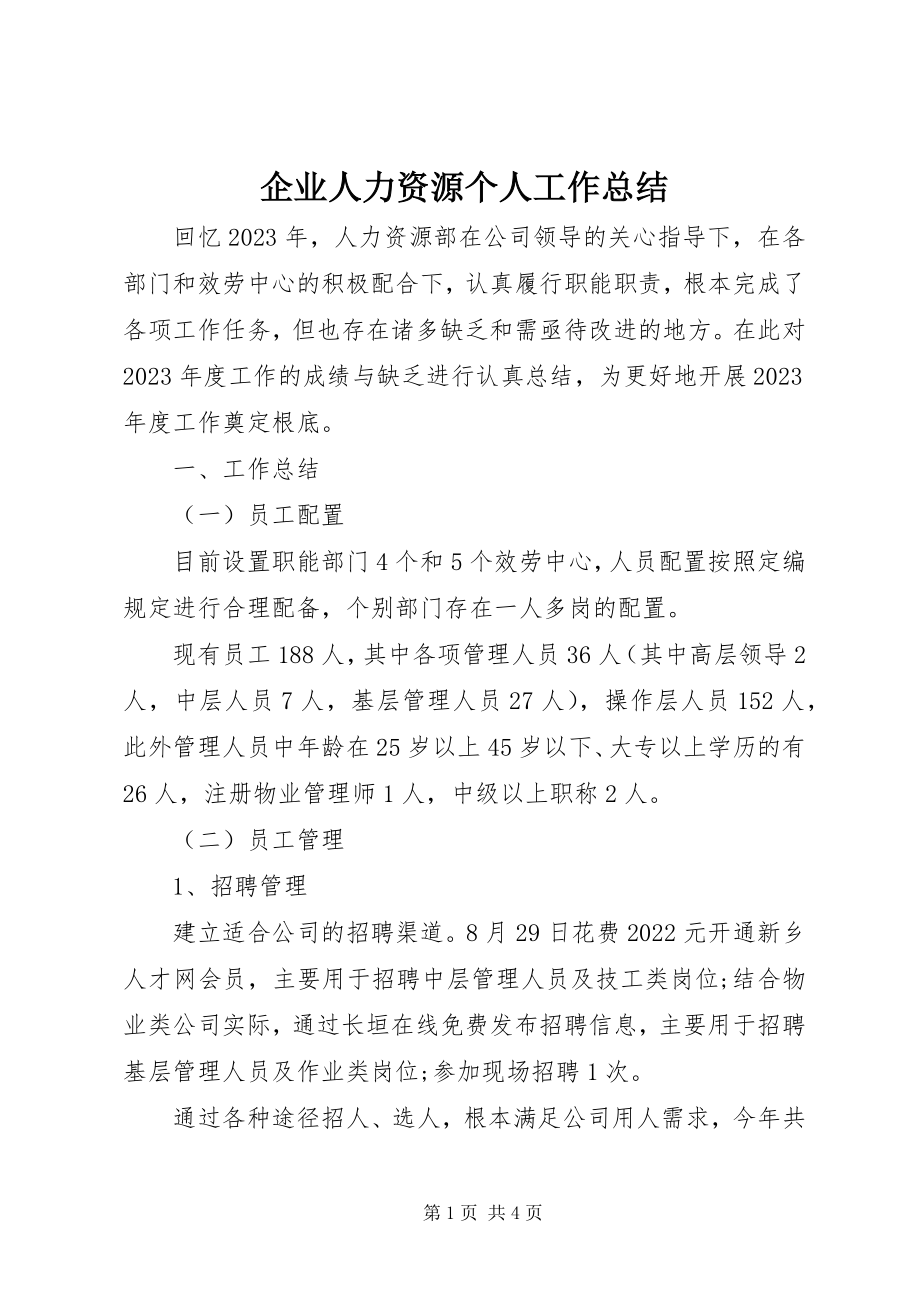 2023年企业人力资源个人工作总结.docx_第1页