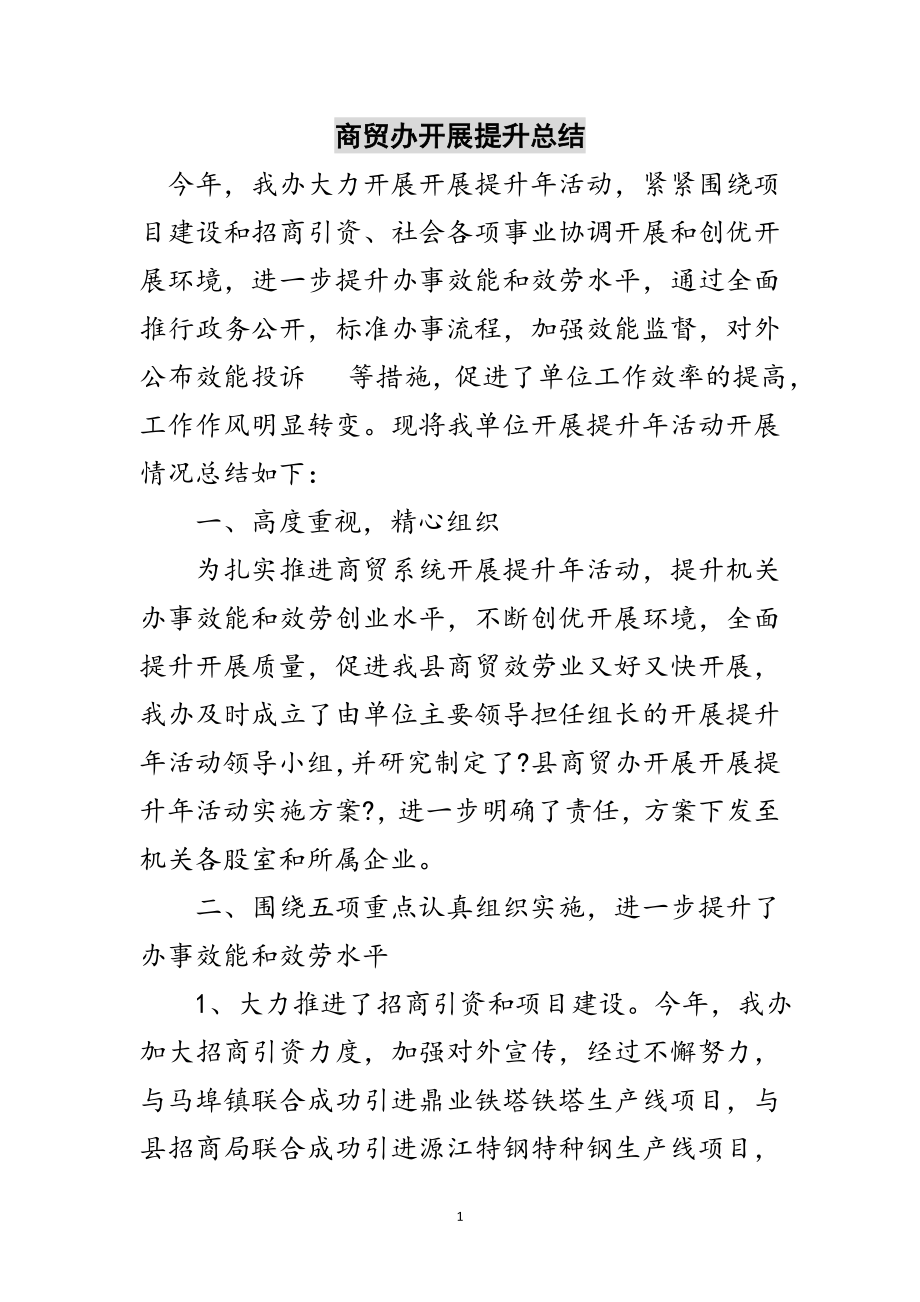 2023年商贸办发展提升总结范文.doc_第1页