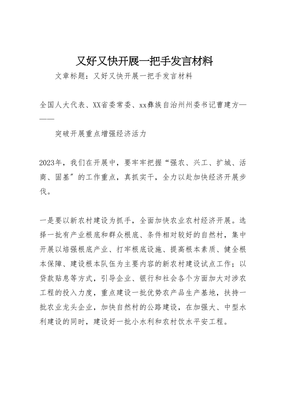 2023年又好又快发展一把手讲话材料.doc_第1页