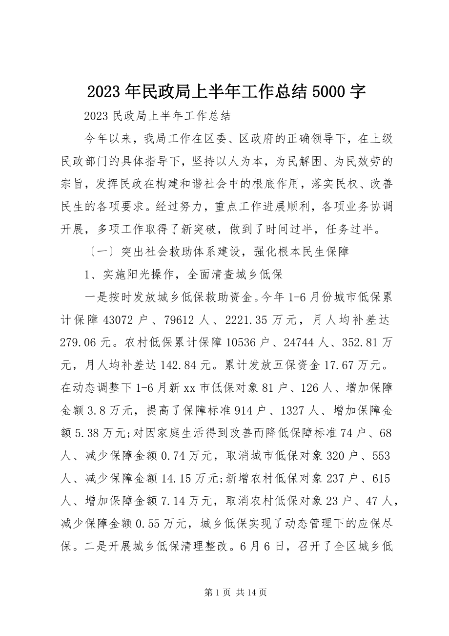 2023年民政局上半年工作总结5000字.docx_第1页