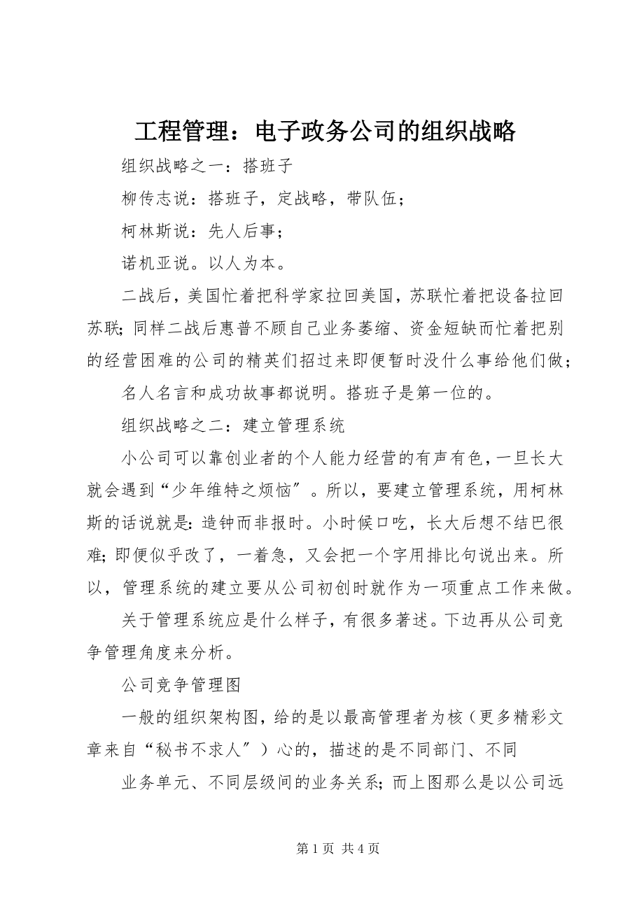 2023年项目管理电子政务公司的组织战略.docx_第1页