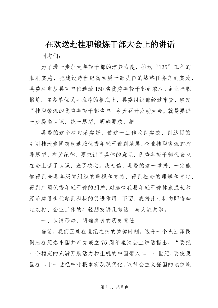 2023年在欢送赴挂职锻炼干部大会上的致辞.docx_第1页