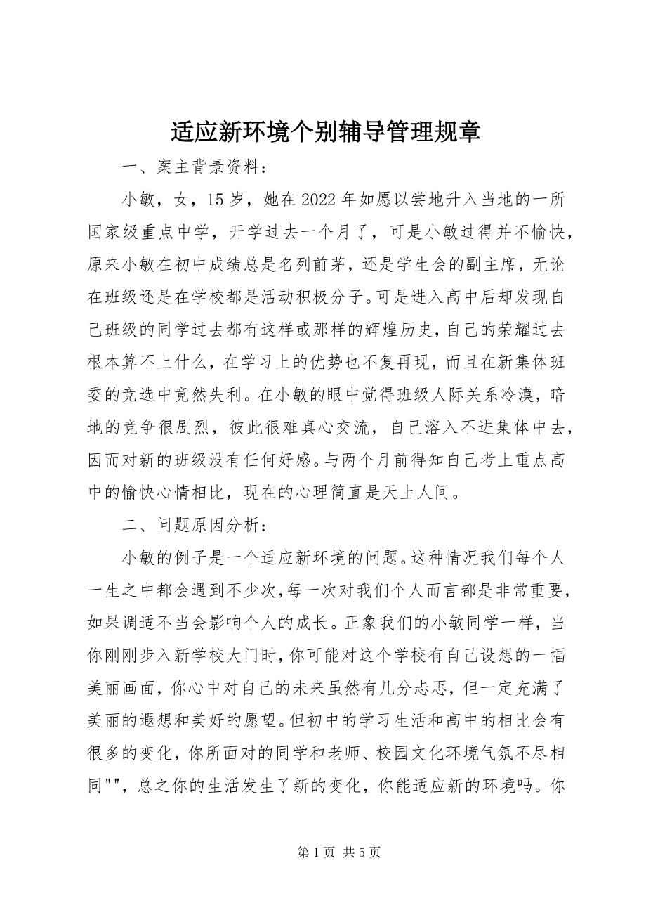 2023年适应新环境个别辅导管理规章.docx_第1页