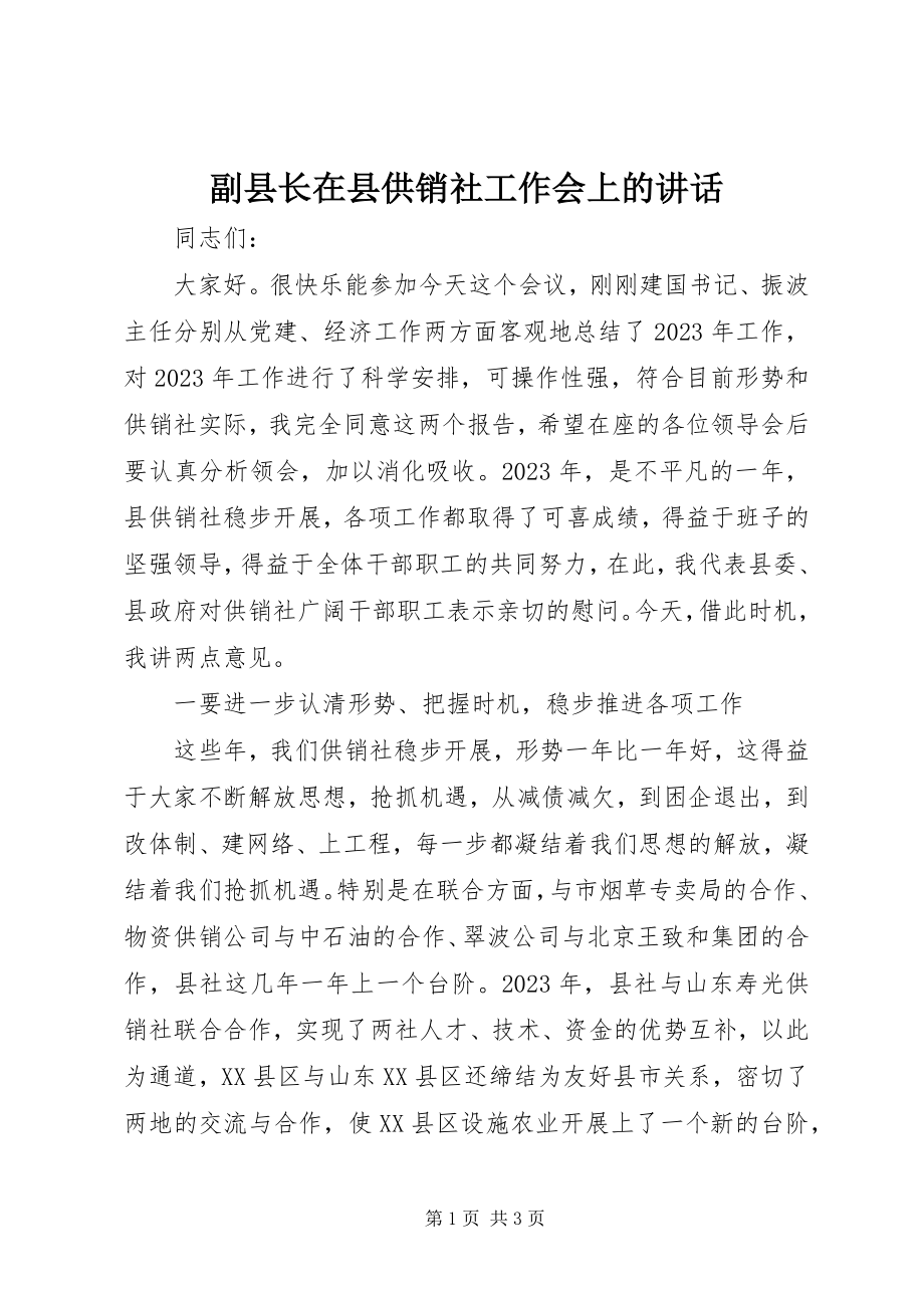 2023年副县长在县供销社工作会上的致辞.docx_第1页