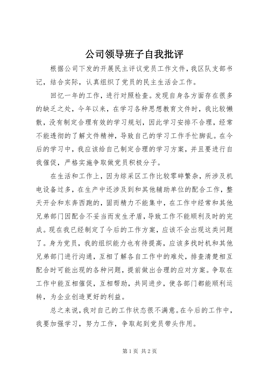 2023年公司领导班子自我批评.docx_第1页