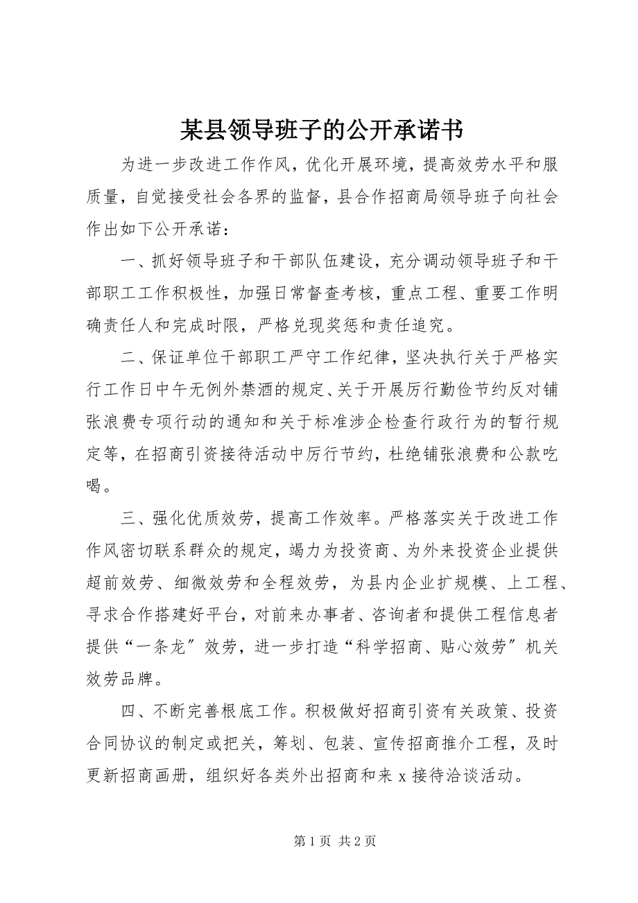 2023年xx县领导班子的公开承诺书.docx_第1页