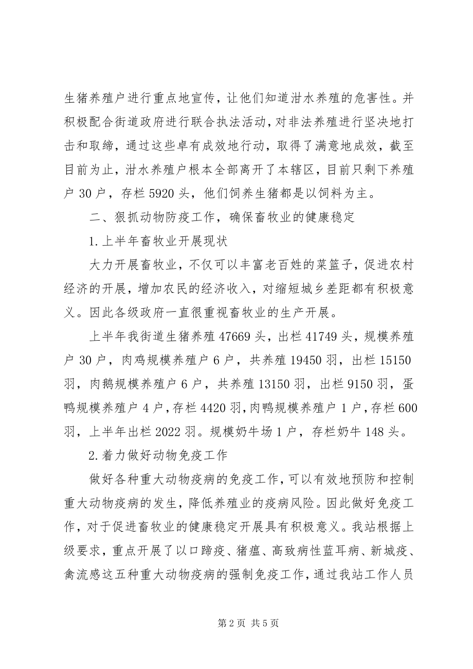 2023年街道加强动物防疫整治总结.docx_第2页