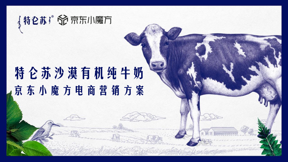 特仑苏 X 京东小魔方沙漠有机奶上市方案.pdf_第1页